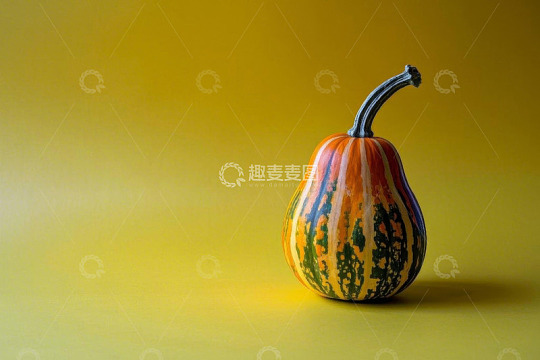 黄色背景上的多彩南瓜静物
