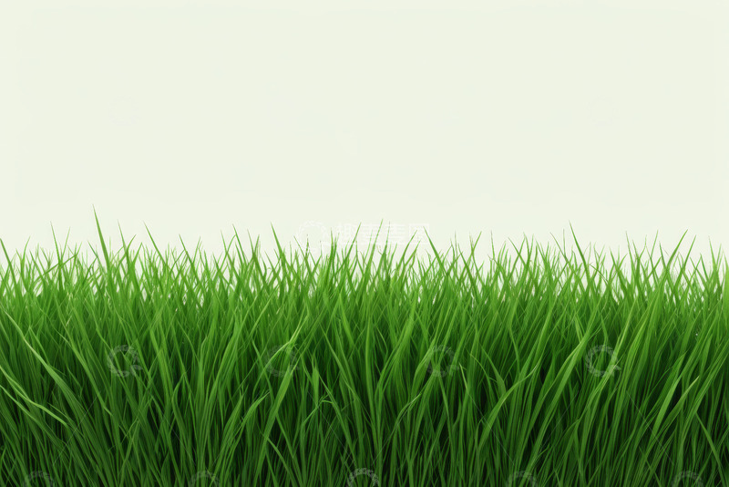 高清大图下载【趣麦麦图】绿色草坪背景图