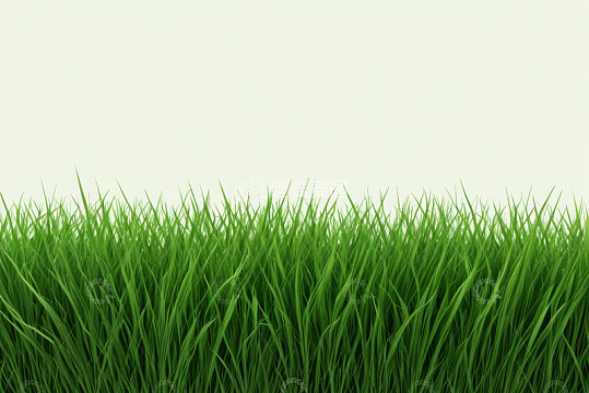 绿色草坪背景图