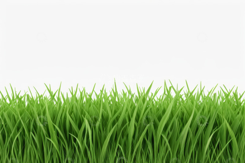 高清大图下载【趣麦麦图】绿色青草自然背景素材