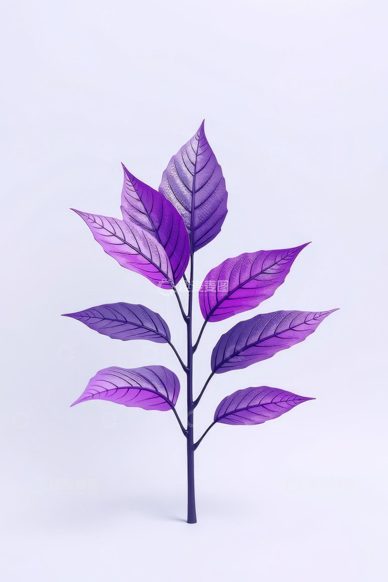 高清大图下载【趣麦麦图】金色绿色花朵植物素材