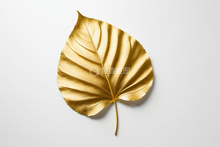 金色叶片特写素材