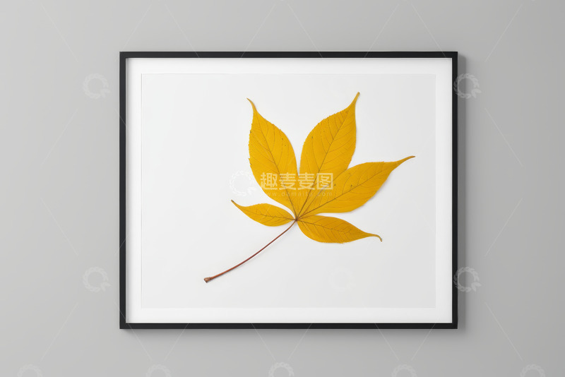 高清大图下载【趣麦麦图】框中黄色秋叶装饰画面