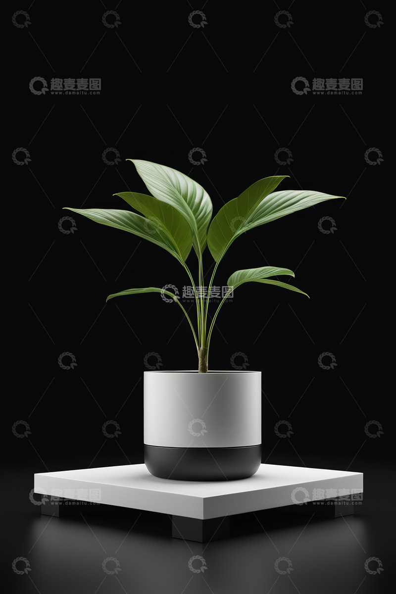 高清大图下载【趣麦麦图】-黑白花盆中的绿植盆栽