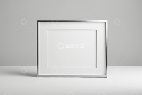 白色现代框架展示图
