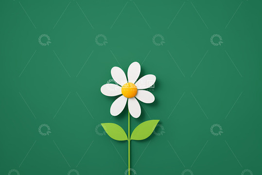绿色背景白色小花素材