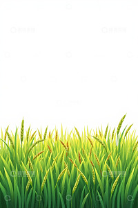 绿色麦穗植物背景素材