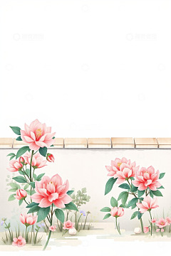 墙边绽放的粉色花卉插画