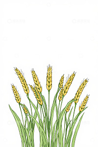 插画风格成熟麦穗