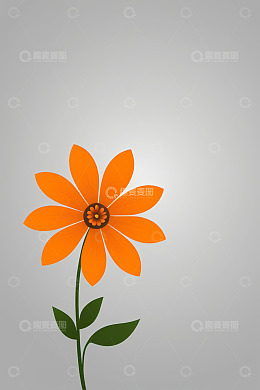 橙色花朵插画素材