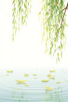 垂柳枝条垂落水面插画