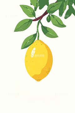 挂在枝头的黄色柠檬