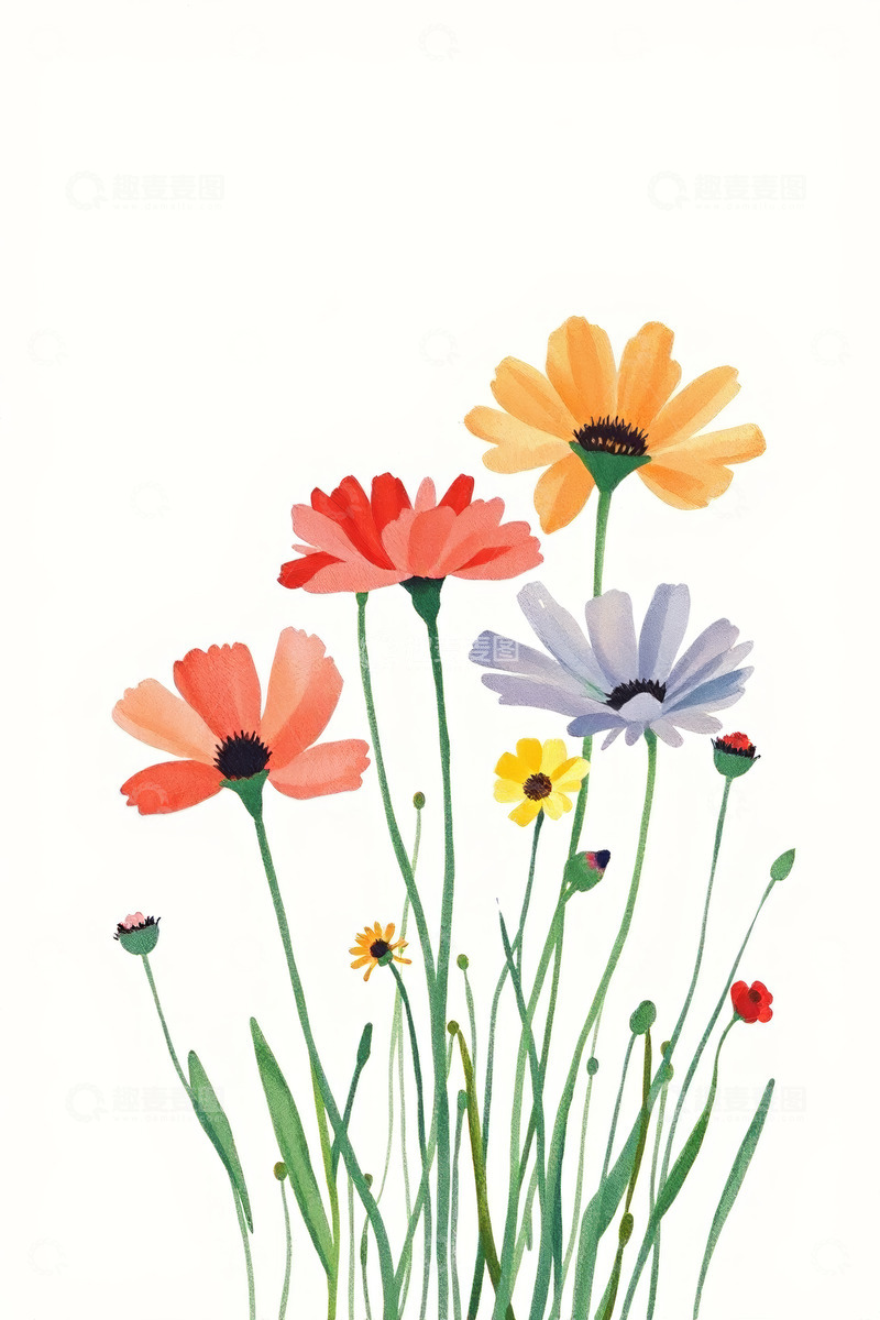 高清大图下载【趣麦麦图】水彩风格多彩花卉插画