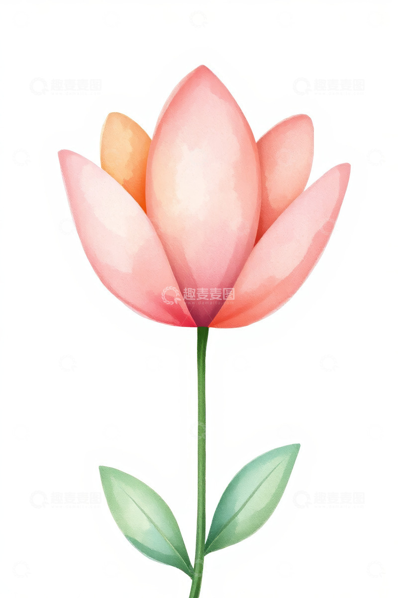 高清大图下载【趣麦麦图】手绘粉色花朵插画素材