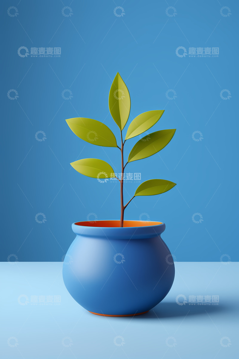 高清大图下载【趣麦麦图】蓝色花盆中绿植特写