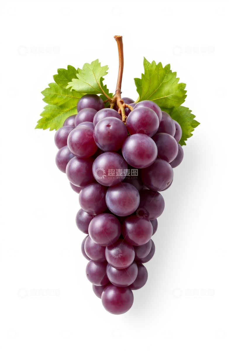 高清大图下载【趣麦麦图】紫葡萄特写