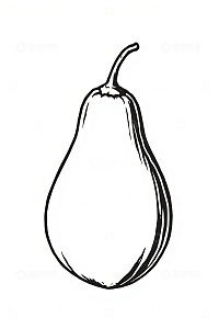 手绘风格梨插图素材