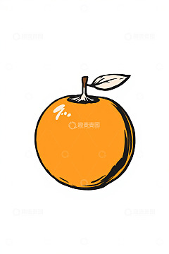 手绘卡通橙子插图
