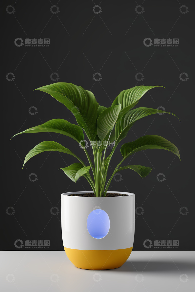 高清大图下载【趣麦麦图】盆栽绿植家居装饰素材