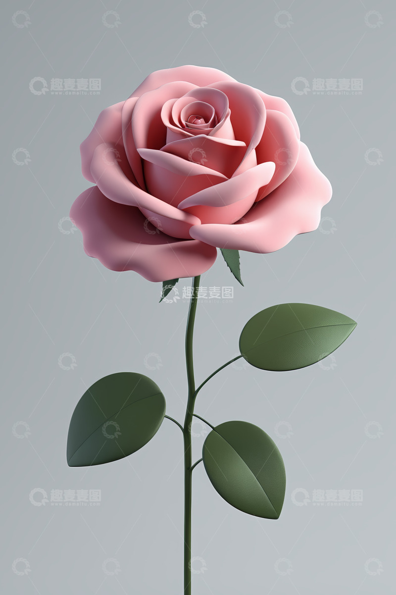 高清大图下载【趣麦麦图】粉色玫瑰花特写