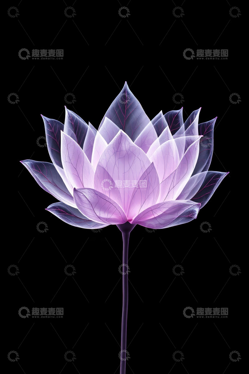 高清大图下载【趣麦麦图】紫色透明质感莲花