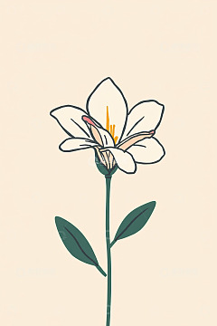 手绘白色花朵插画素材