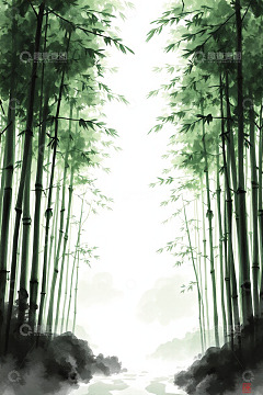 静谧竹林自然风光
