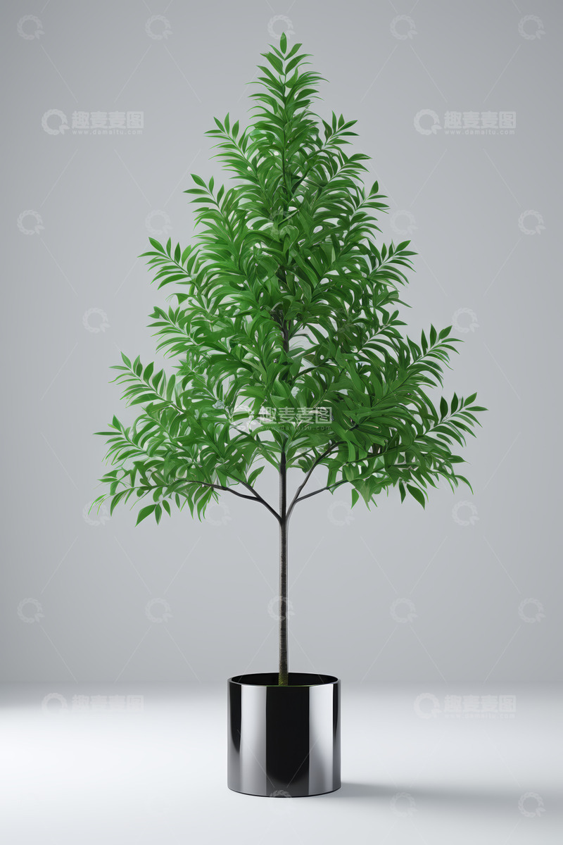 高清大图下载【趣麦麦图】盆栽绿植三维渲染效果图