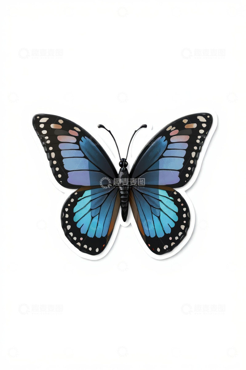 高清大图下载【趣麦麦图】蓝色蝴蝶特写素材