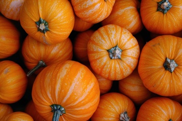 一堆成熟的南瓜特写摄影