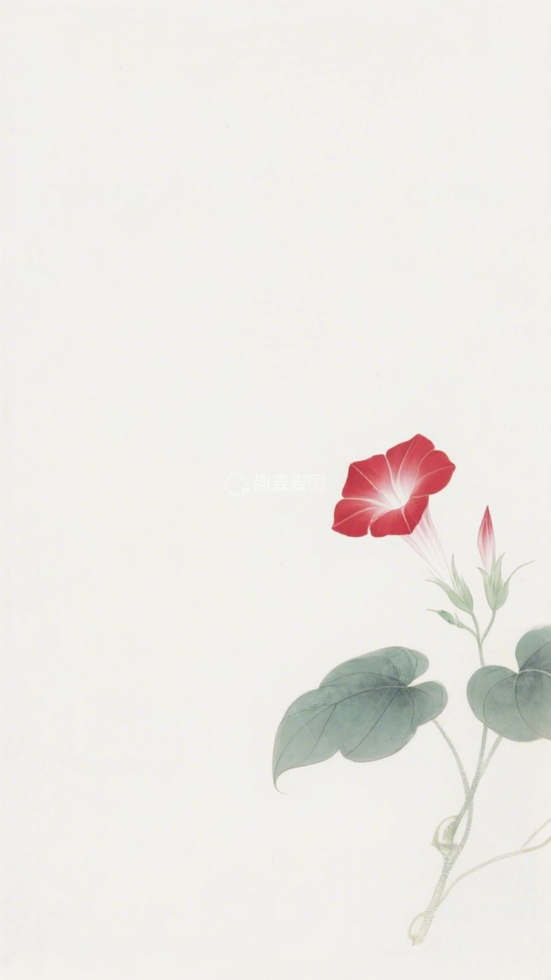 高清大图下载【趣麦麦图】水墨牵牛花淡雅装饰画