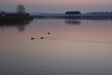 清晨湖景水墨画
