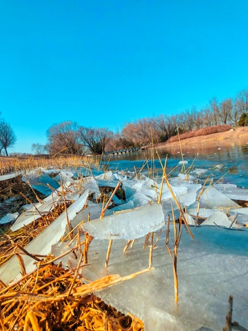 冬日湖面冰块风景摄影