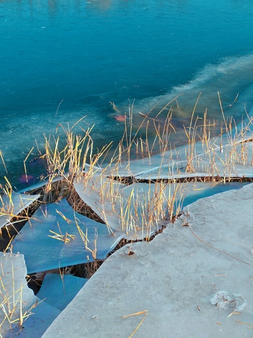 冬日冰面裂缝草景