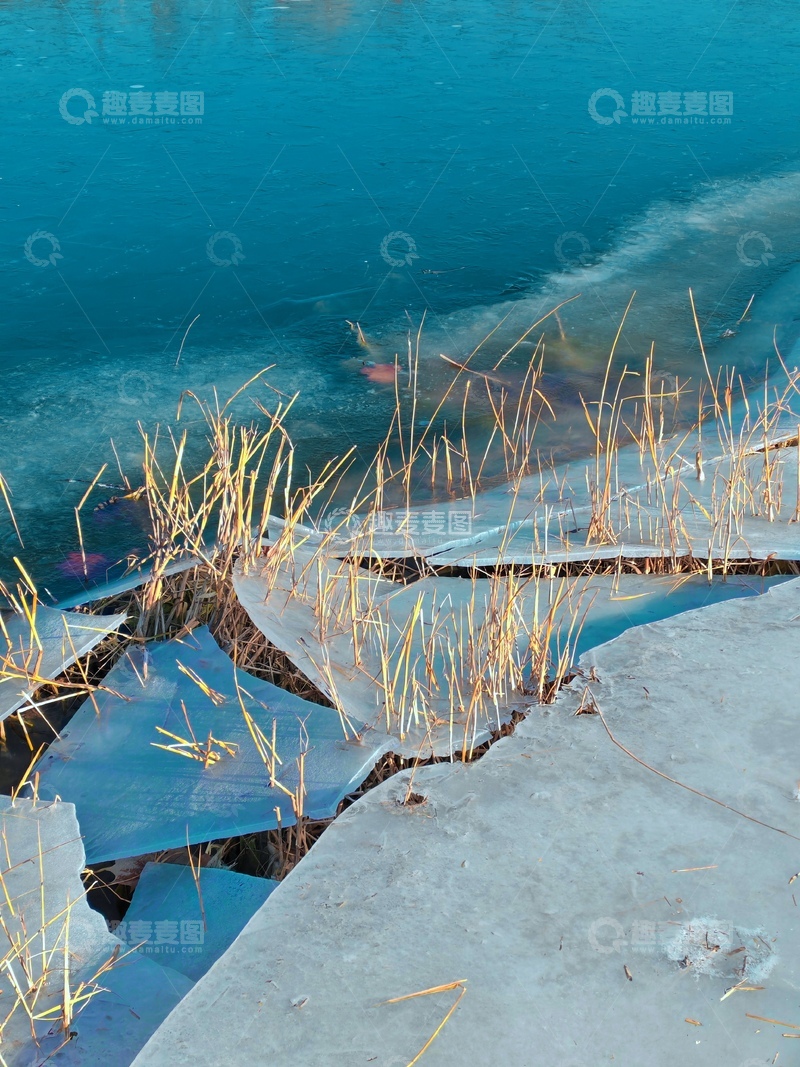 高清大图下载【趣麦麦图】冬日冰面裂缝草景