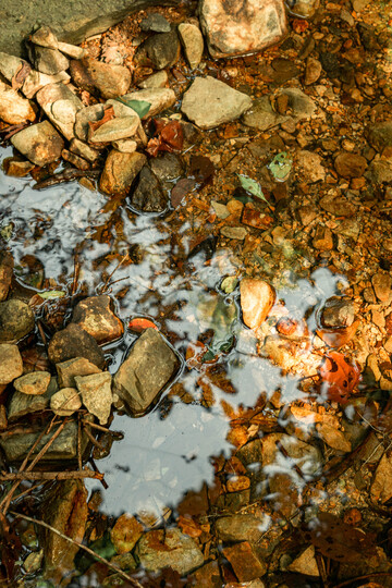清澈小溪石滩景观