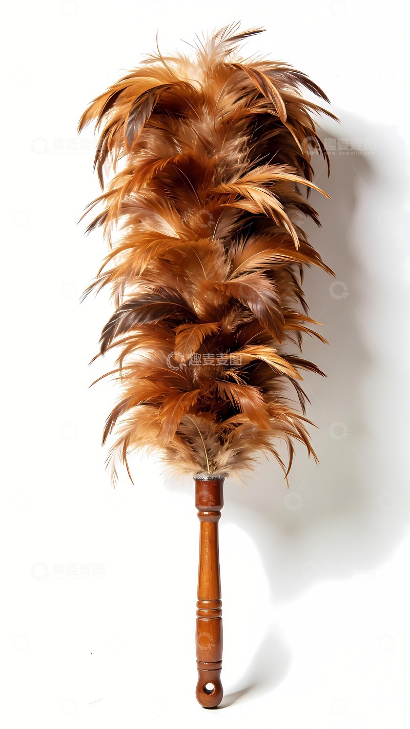 高清大图下载【趣麦麦图】鸡毛掸子图片