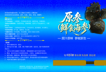 蓝色海参广告宣传海报设计