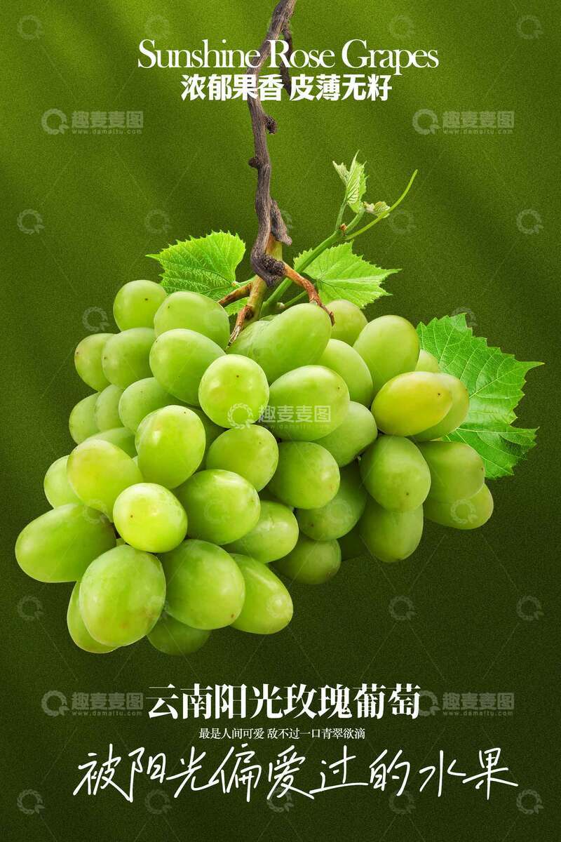 源文件下载【趣麦麦图】阳光葡萄水果海报