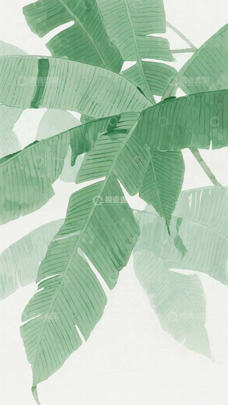 高清大图下载【趣麦麦图】清新绿叶插画壁纸
