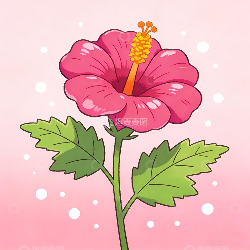 高清大图下载【趣麦麦图】草芙蓉芙蓉葵图片