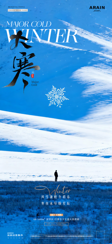 地产小寒大寒冬天风景海报02