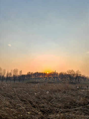 冬日田野落日风景
