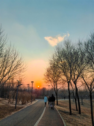 黄昏公园散步风景摄影