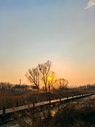 日落木桥湿地风光