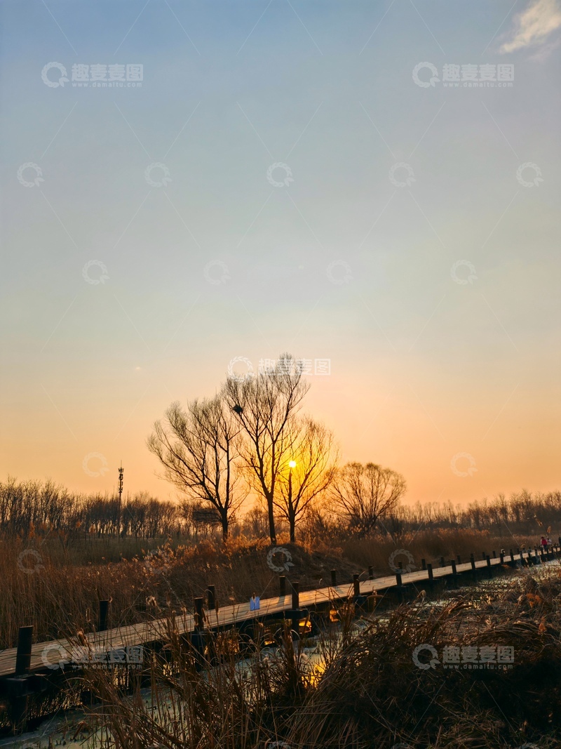 高清大图下载【趣麦麦图】-日落木桥湿地风光