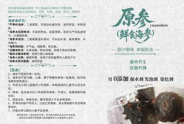 原参鲜食海参广告宣传素材