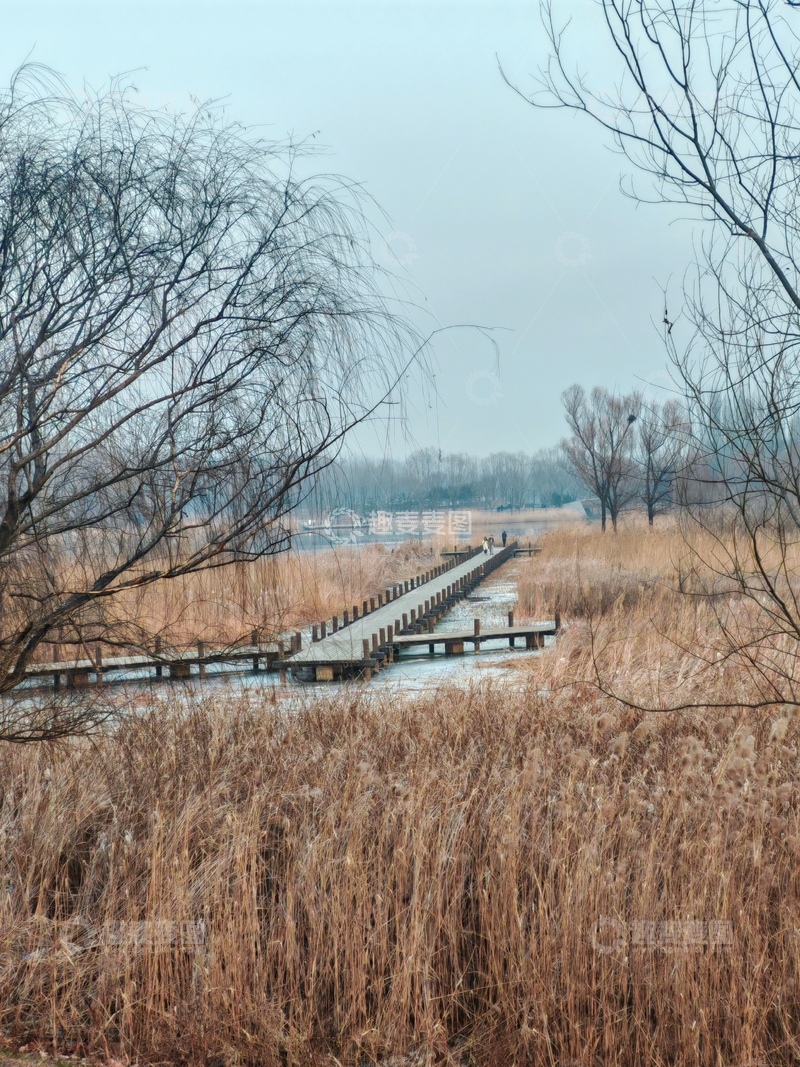 高清大图下载【趣麦麦图】冬日湿地木桥景