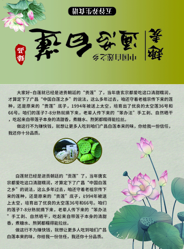 白莲宣传海报设计素材