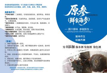 海参封面宣传单